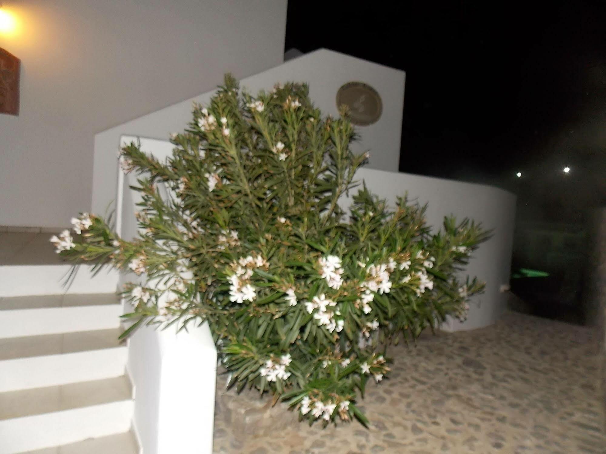 Lavarock Santorini بيريسا المظهر الخارجي الصورة